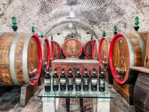 El Paso wineries to visit